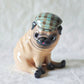PRE-ORDER Pug with Cap