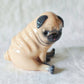 PRE-ORDER Pug with Cap